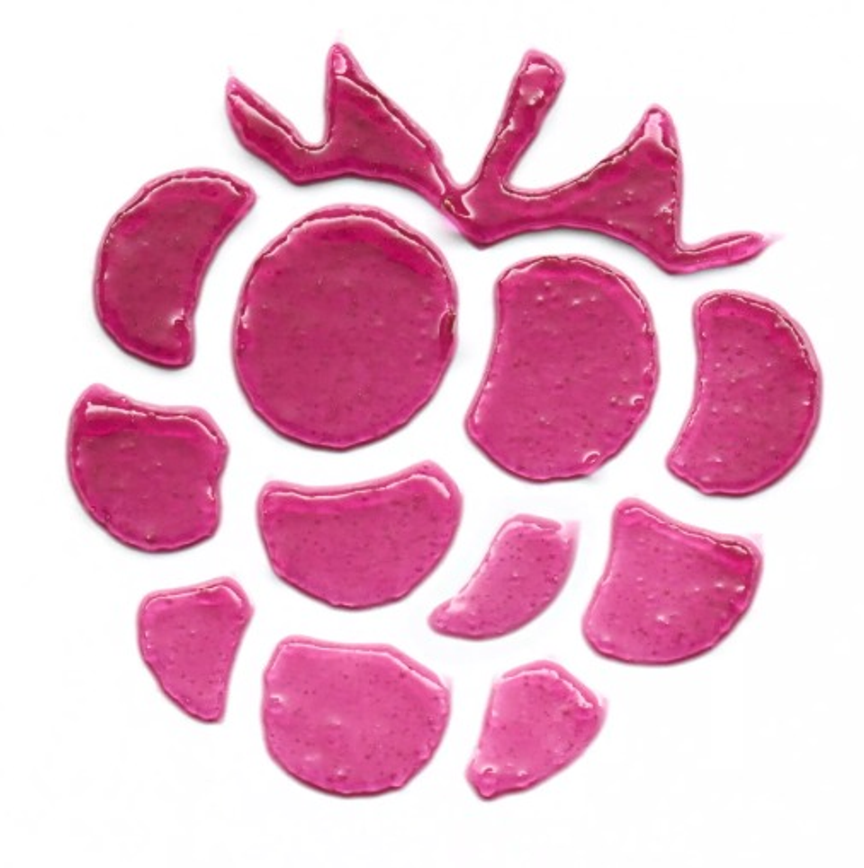 JUICY BERRY TINTED LIP CHEEK ESSENCE 3