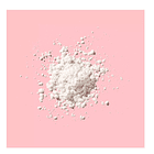 POLVO SUELTO 0001FIX LAST 14H ESSENCE 3