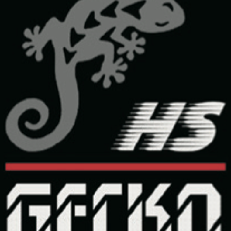 Equipo soldadura automatica Gecko HS 8