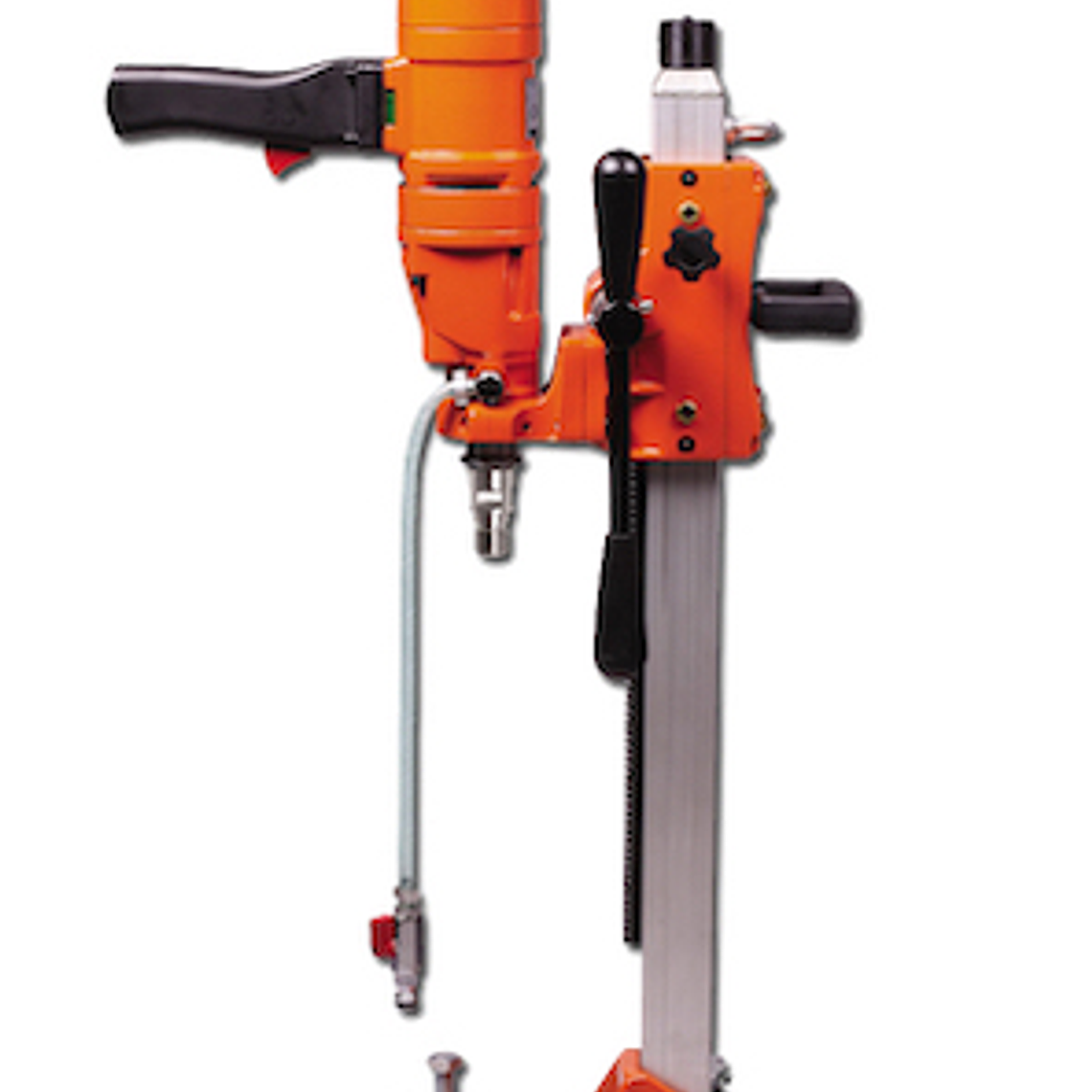 Arriendo Diario de Testiguera Recta	 1