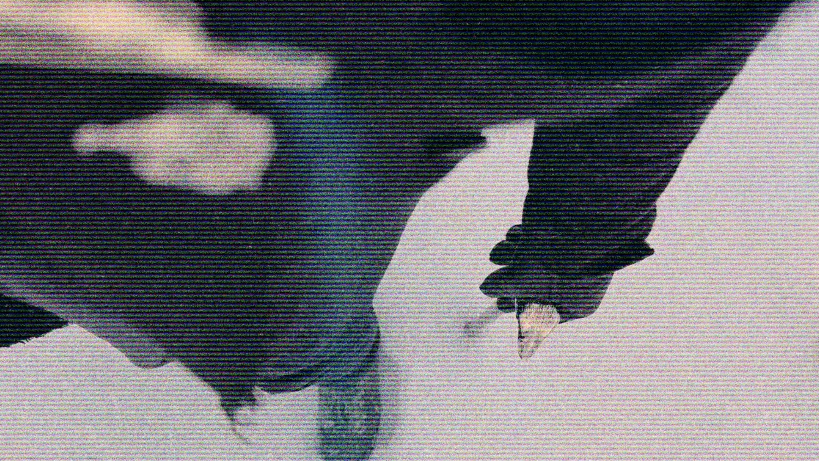 janosch moldau - not at all  (music visualiser)