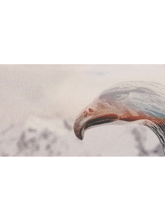 janosch moldau - the things that couldn't be (music visualiser)