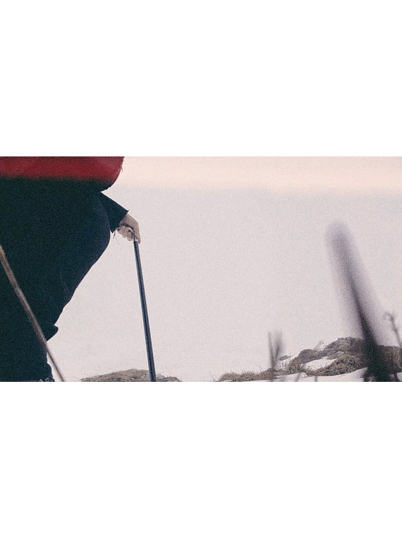 janosch moldau - goodbye world (music visualiser)