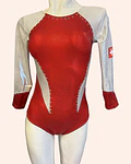 Malla Gimnasia Institucional de clubes
