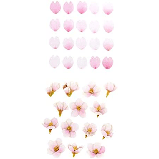 Set Dos Cintas Adhesivas Sakura