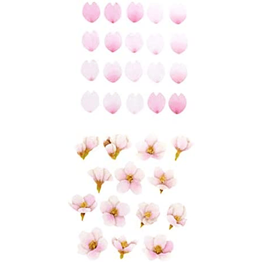 Set 100 Stickers Sakura