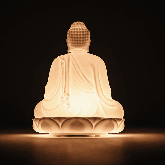 Buddha Special Book - Buddha Light