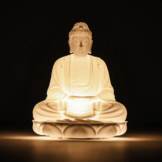 Buddha Special Book - Buddha Light