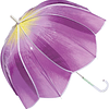 Paraguas WPC - Tulip Umbrella