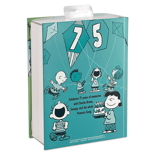 Hallmark Ornaments I Peanuts® 75th Anniversary Charlie Brown and Snoopy, Set of 2