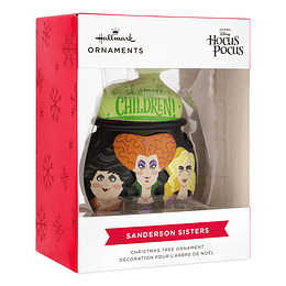 Hallmark Ornament I Disney Hocus Pocus Cauldron
