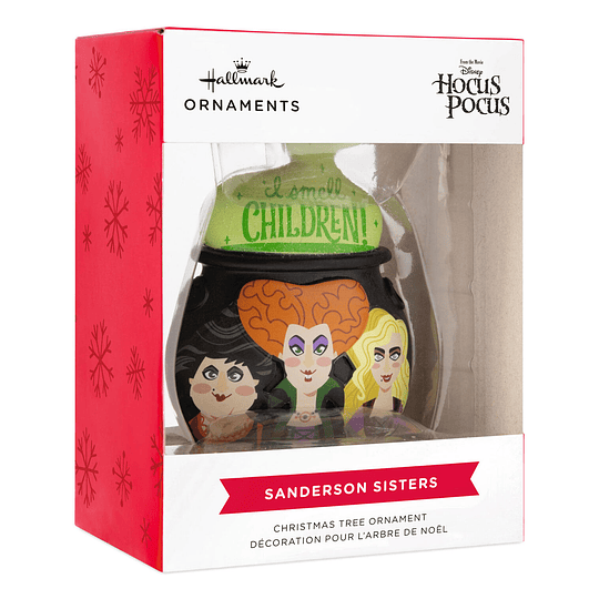 Hallmark Ornament I Disney Hocus Pocus Cauldron