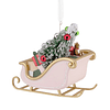 Hallmark Ornament I Sleigh
