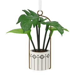 Hallmark Ornament I Hanging Houseplant