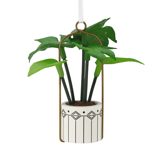 Hallmark Ornament I Hanging Houseplant