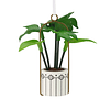 Hallmark Ornament I Hanging Houseplant