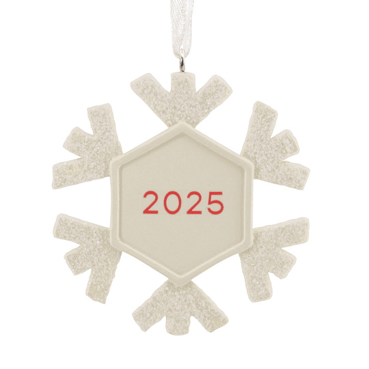 Hallmark Ornament I Our First Christmas Snowflake