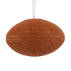 Hallmark Ornament I Go Fight Win Football
