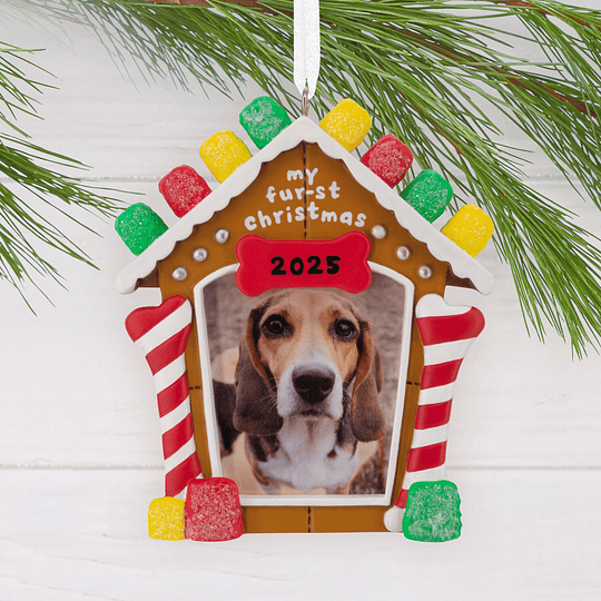 Hallmark Ornament I My Fur-st Christmas 2025