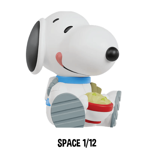 ROKIMOTO | PEANUTS Blind Cup