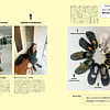 GINZA Magazine | SNEAKERS STREET SNAP！