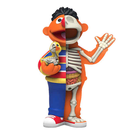 Mighty Jaxx |  Freeny's Hidden Dissectable  |  Sesame Street  |  Al Azar