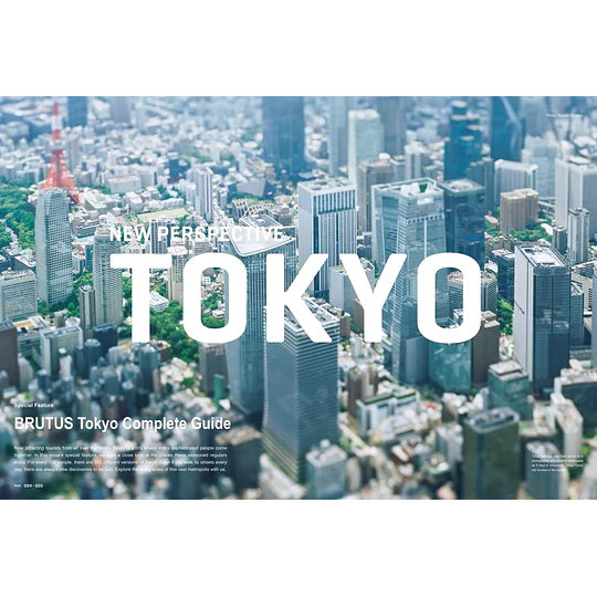 BRUTUS MAGAZINE | NEW PERSPECTIVE TOKYO | ENGLISH VERSION