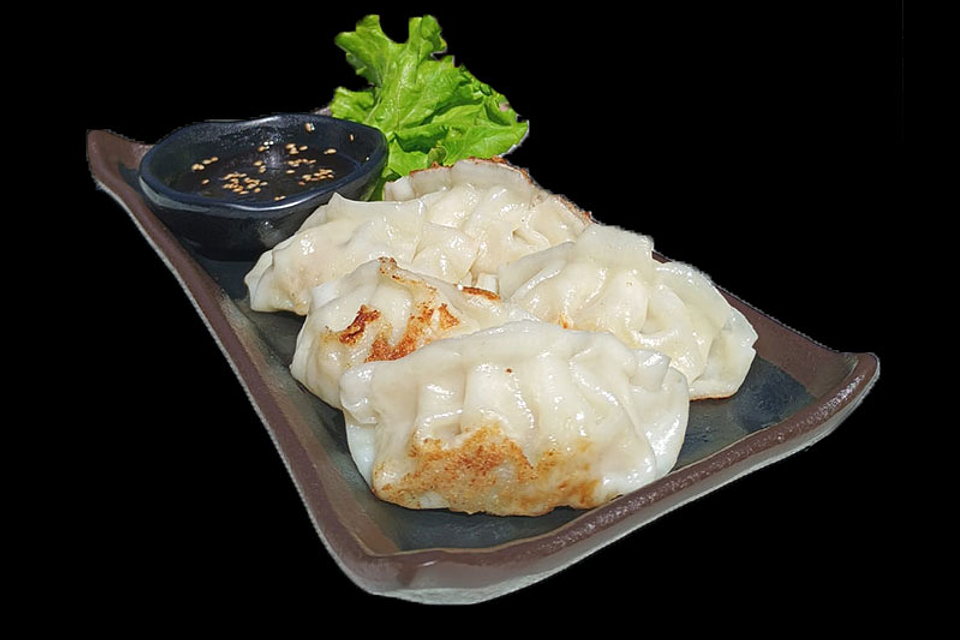 Gyosas de Pollo y Cerdo 1