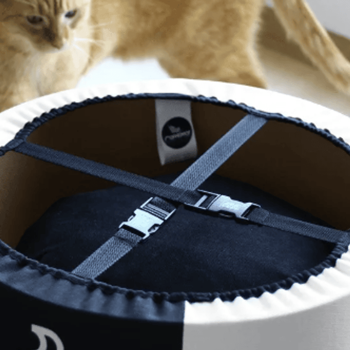 Cama premium para gatos en altura 4