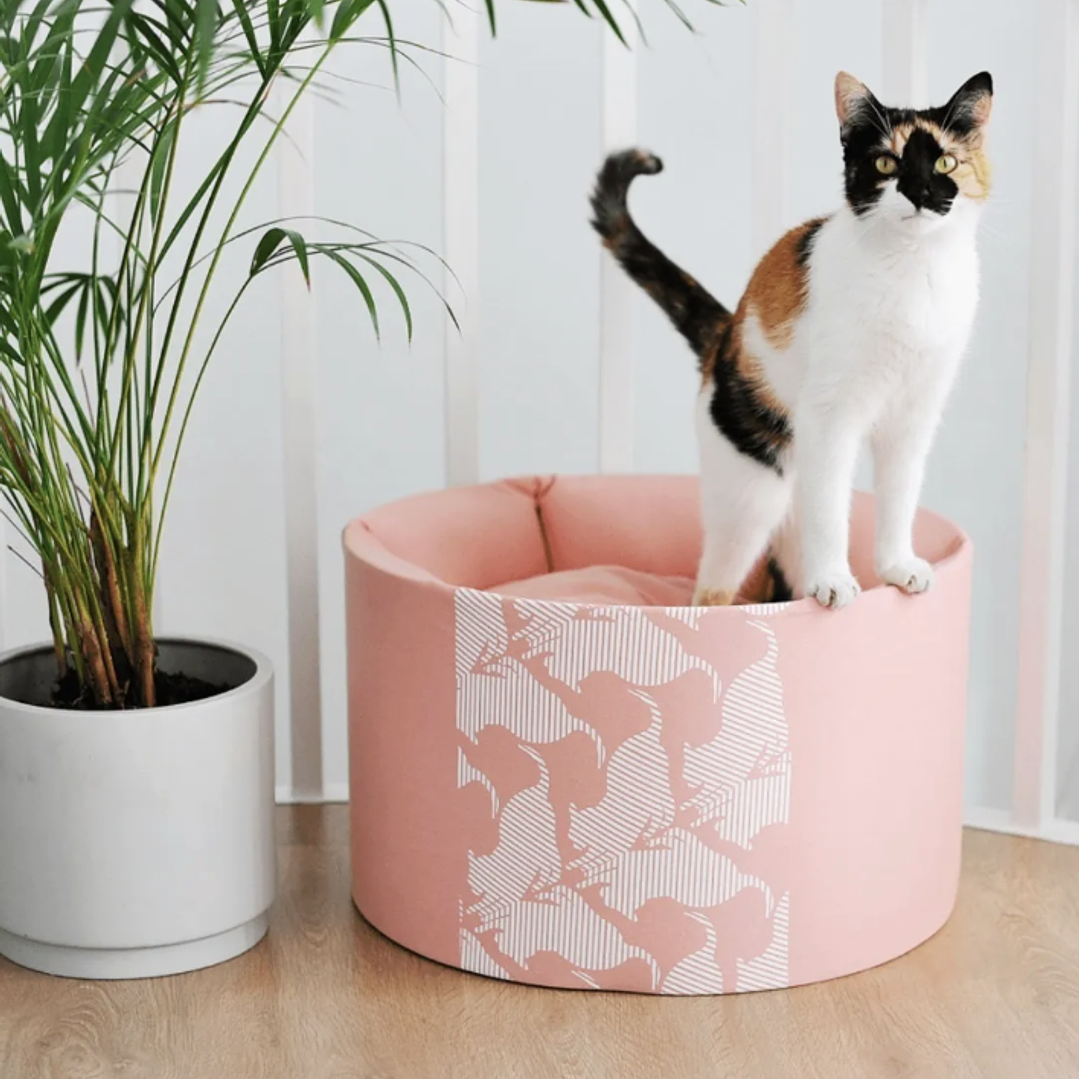 Cama premium para gatos en altura 2