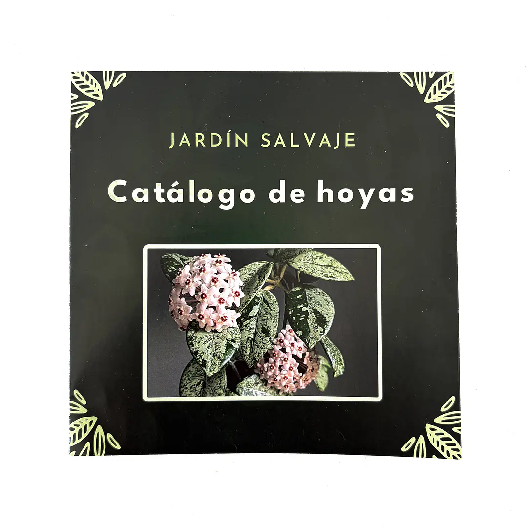 Catálogo hoyas 2025 1