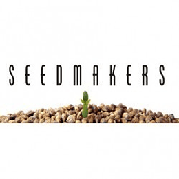 Alakazam x5 Fem Seeds Makers