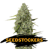 Bcn Critical xxl Auto x3 Seeds Stockers