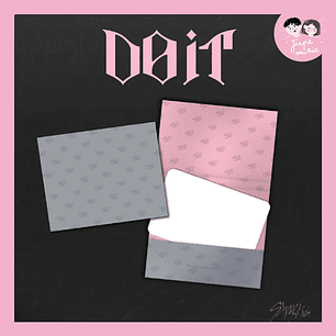 (PREVENTA) STRAY KIDS - SKZ IT TAPE 'DO IT' (PLATFORM PLVE Ver)