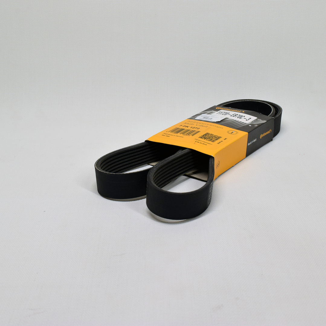 Correa Alternador Continental Alemania Nissan Navara 2.5 YD25DDTI 2007-2013 2