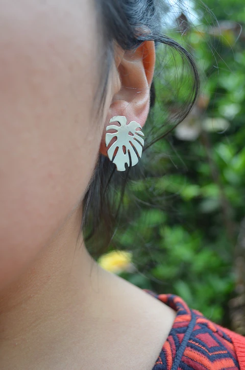 Aros monstera