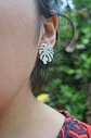 Aros monstera - thumbnail 1