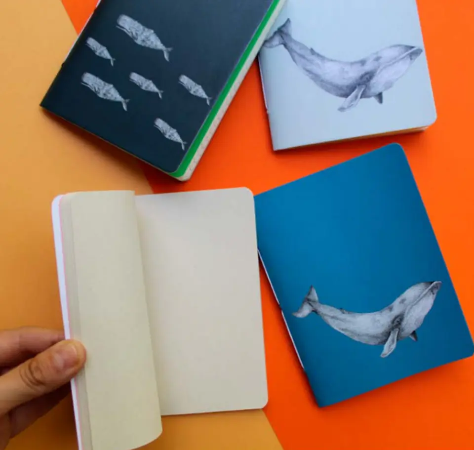 Libreta chica 1