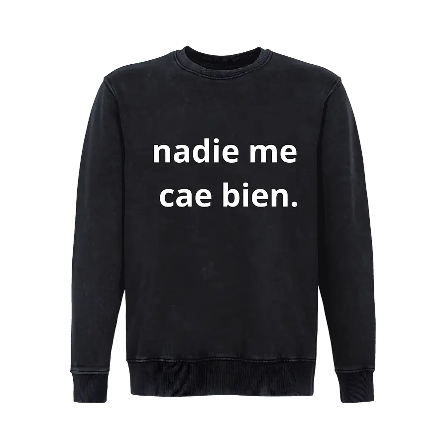Poleron Nadie Me Cae Bien 1