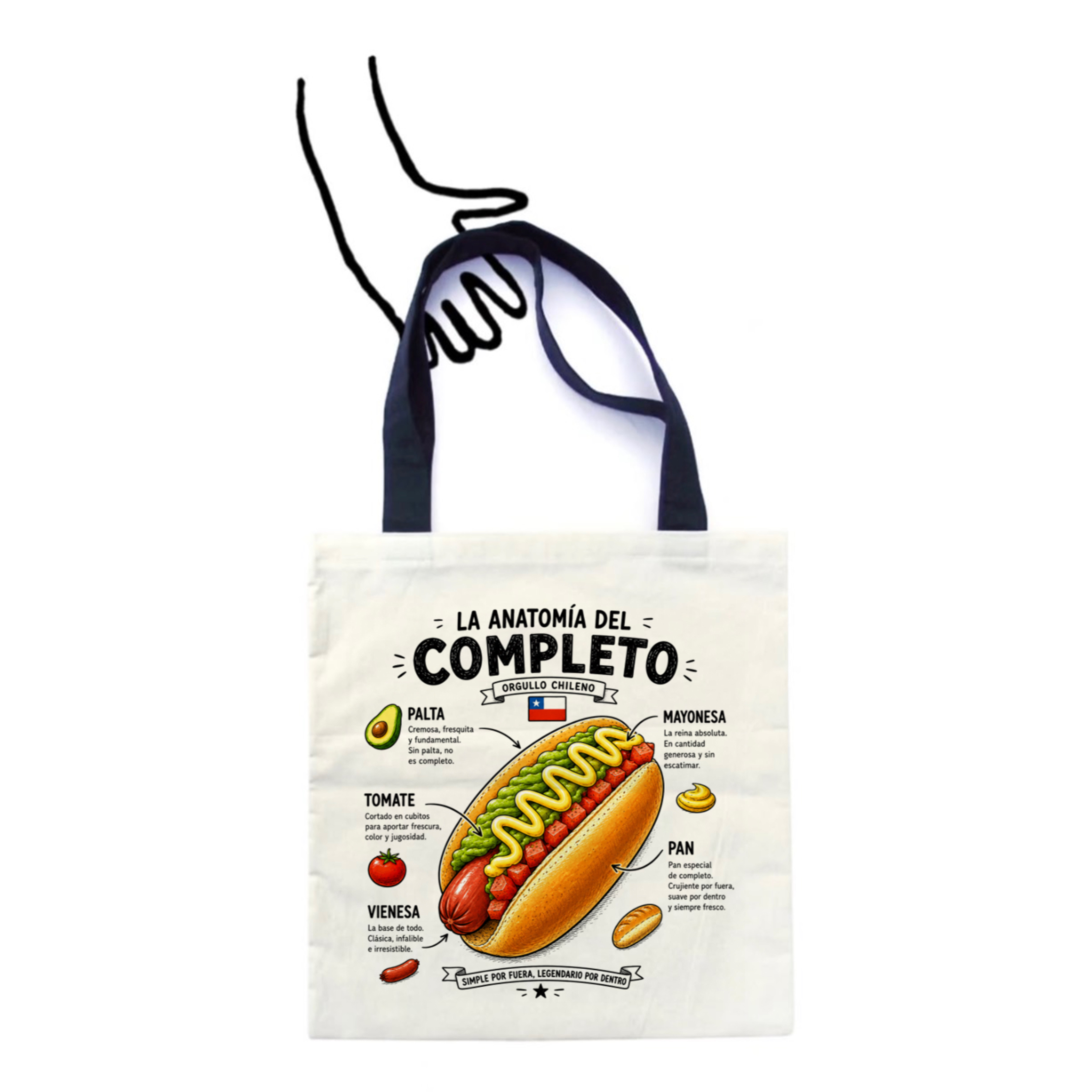 Anatomía del Completo 1