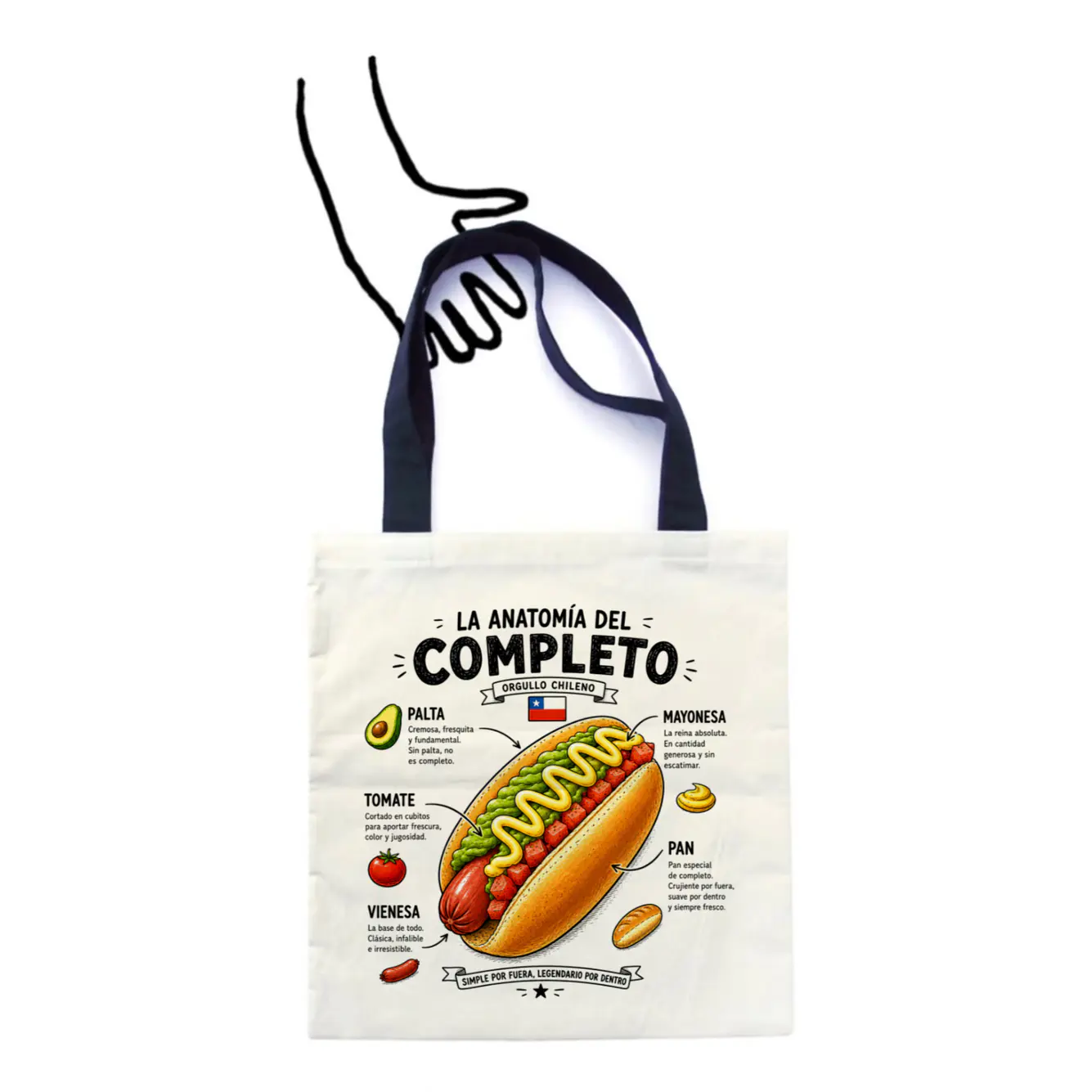 Anatomía del Completo 1