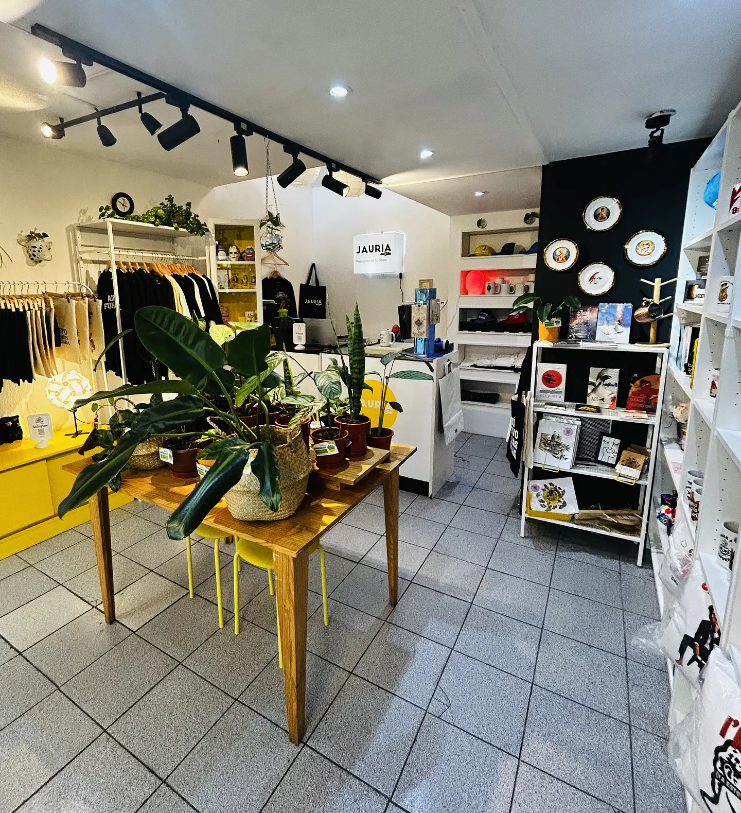 ¡Bienvenidos a Jauría Studio!