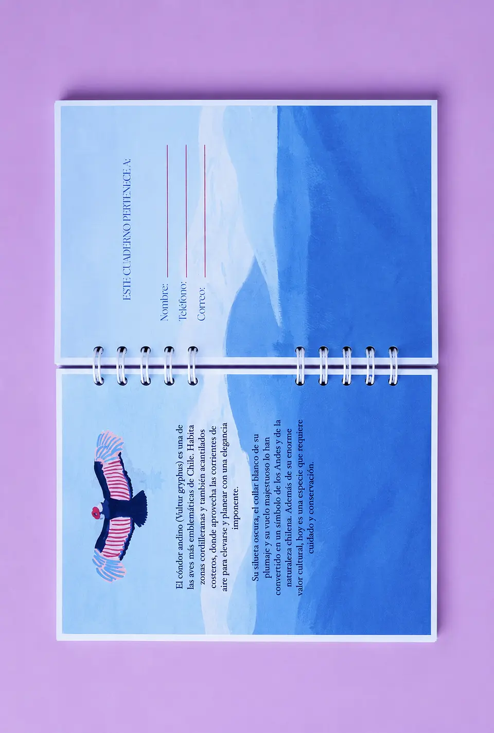 Cuaderno Cóndor 3
