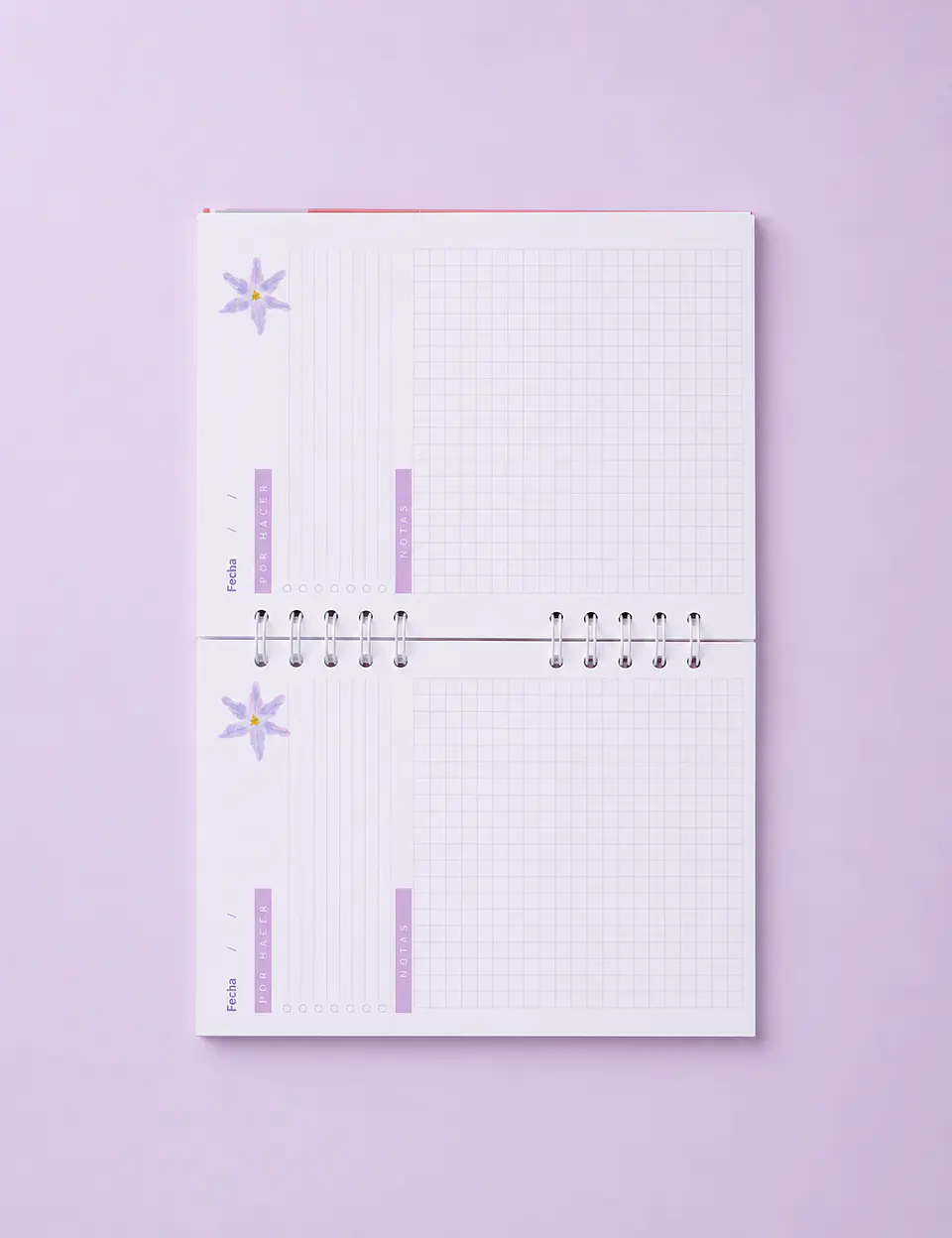 Cuaderno Desierto Florido 3