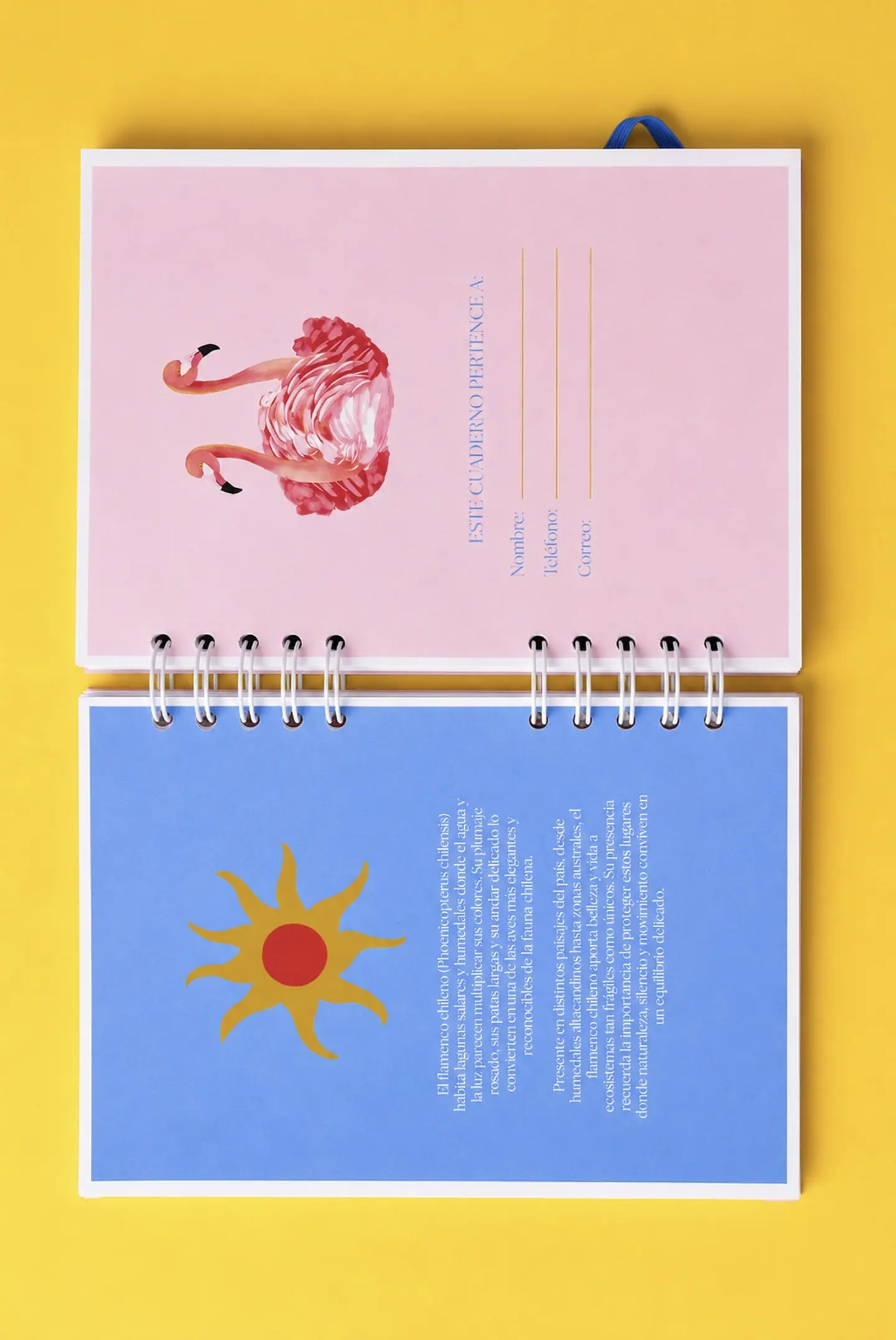 Cuaderno Flamenco 2