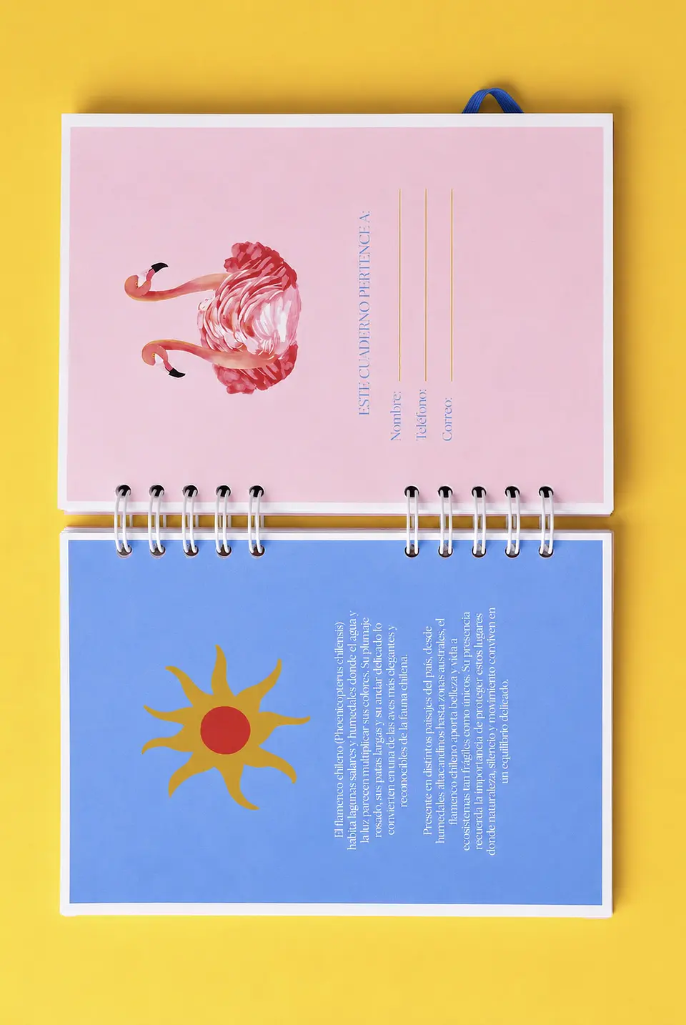 Cuaderno Flamenco 2