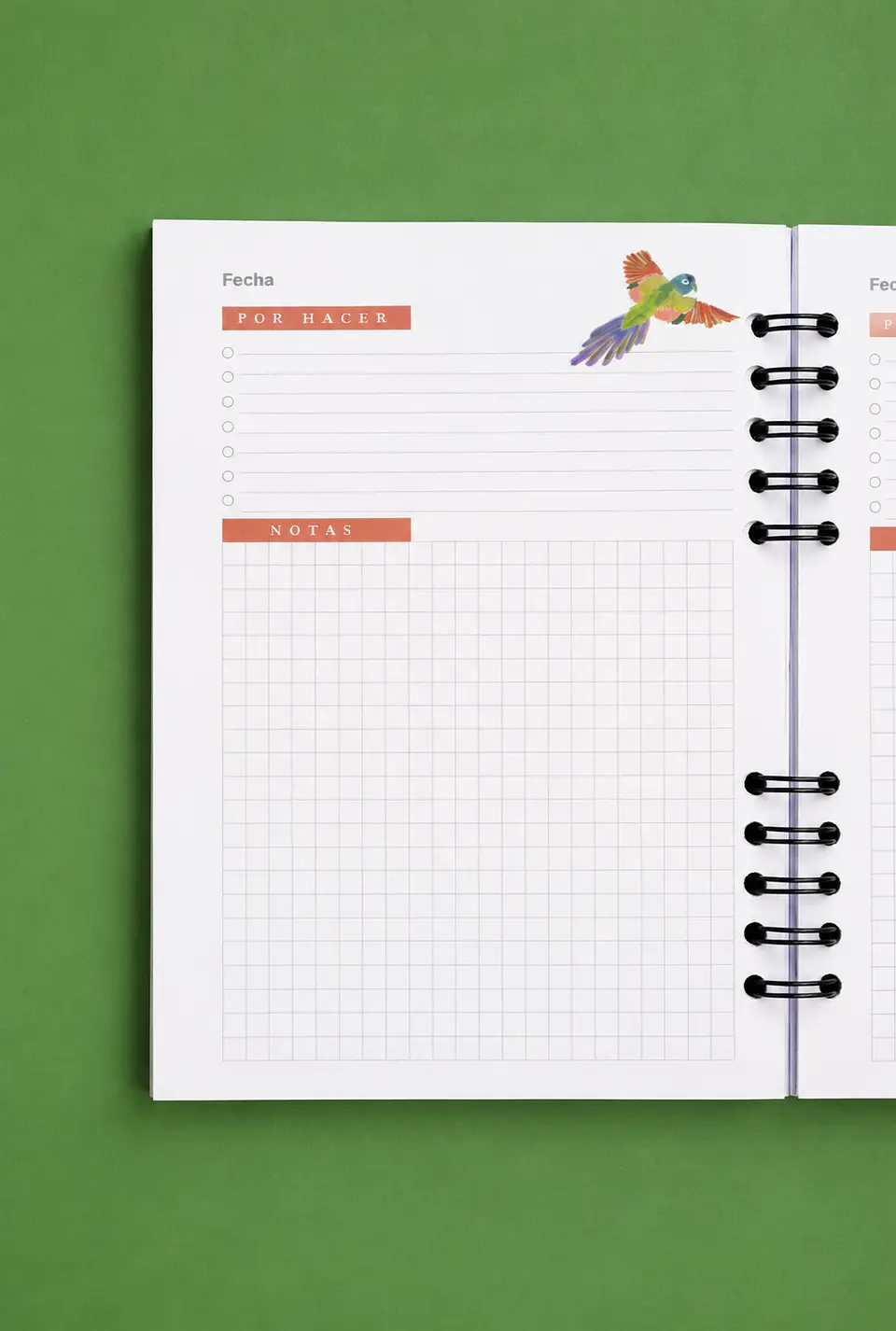 Cuaderno Loro Tricahue 2