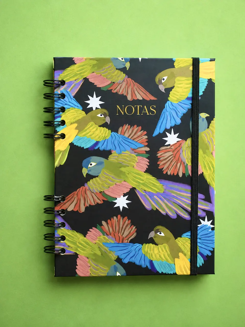 Cuaderno Loro Tricahue 1