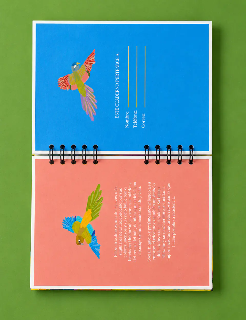Cuaderno Loro Tricahue 4