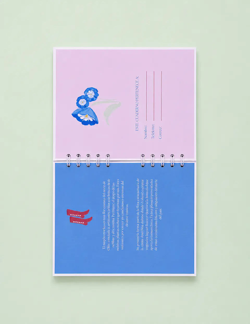 Cuaderno Suspiro Marino 4